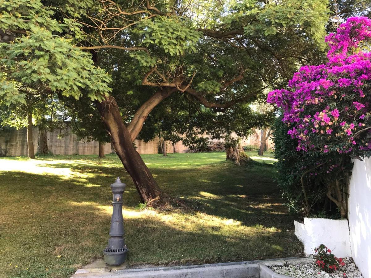 Apartamento Luminoso Cerca Playa Sardinero Con Parking Privado 桑坦德 外观 照片